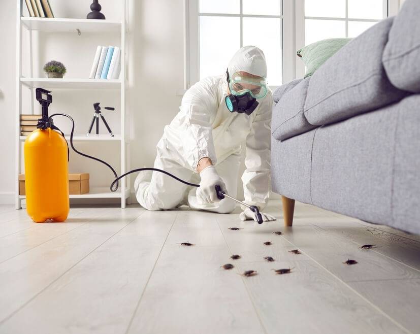 Residential Pest Control