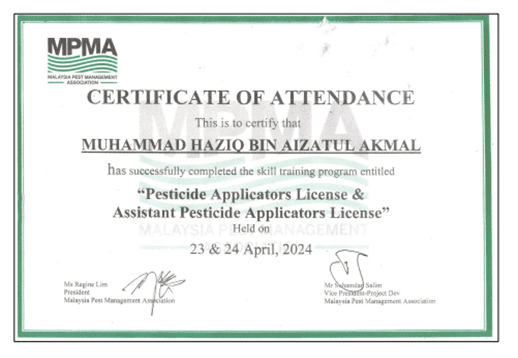 certificate 6