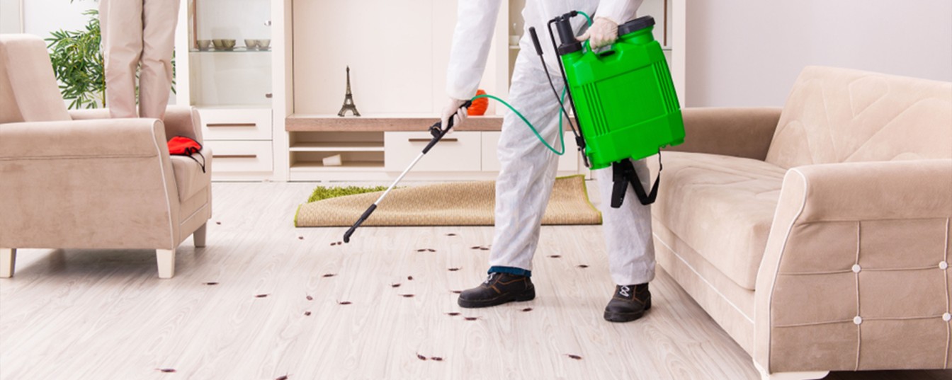 What is Pest Control in Malaysia and Why Is It Essential for Homes and Businesses?